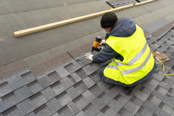 Asphalt Shingles Roofing in Carrizo Hill, TX