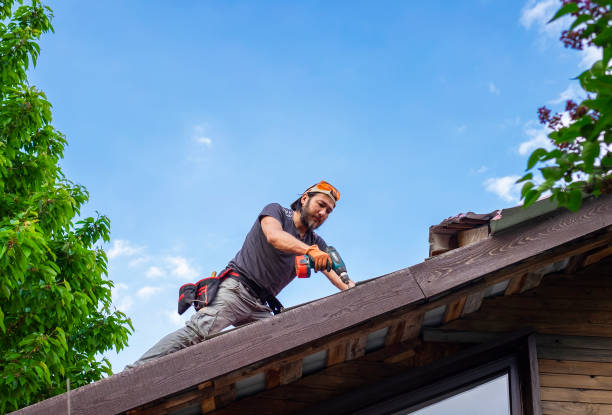 Best Roof Installation  in Carrizo Hill, TX